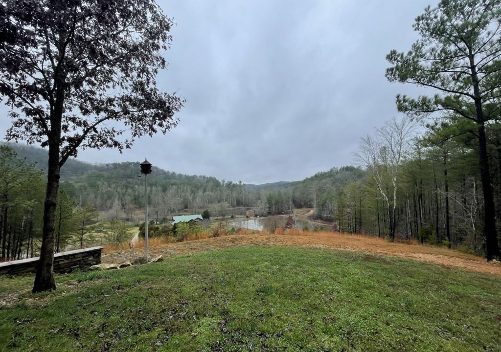 Photo of Others in Tellico Plains