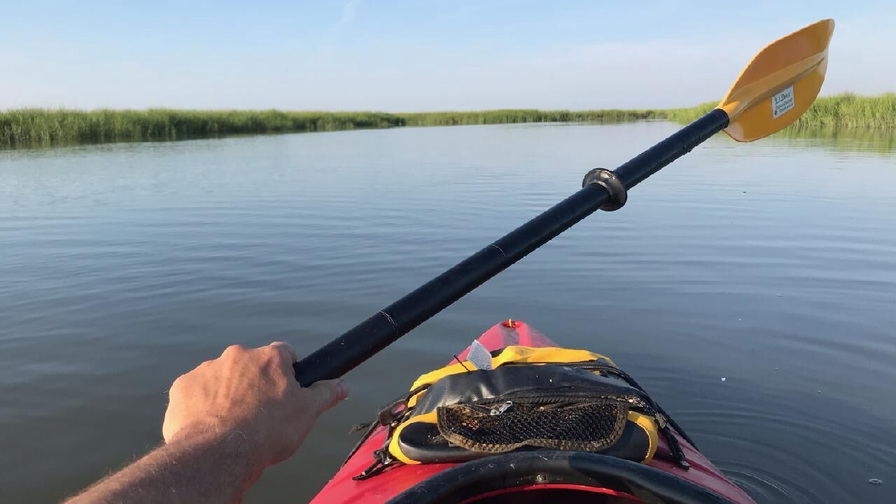Photo of Others in Shell Point