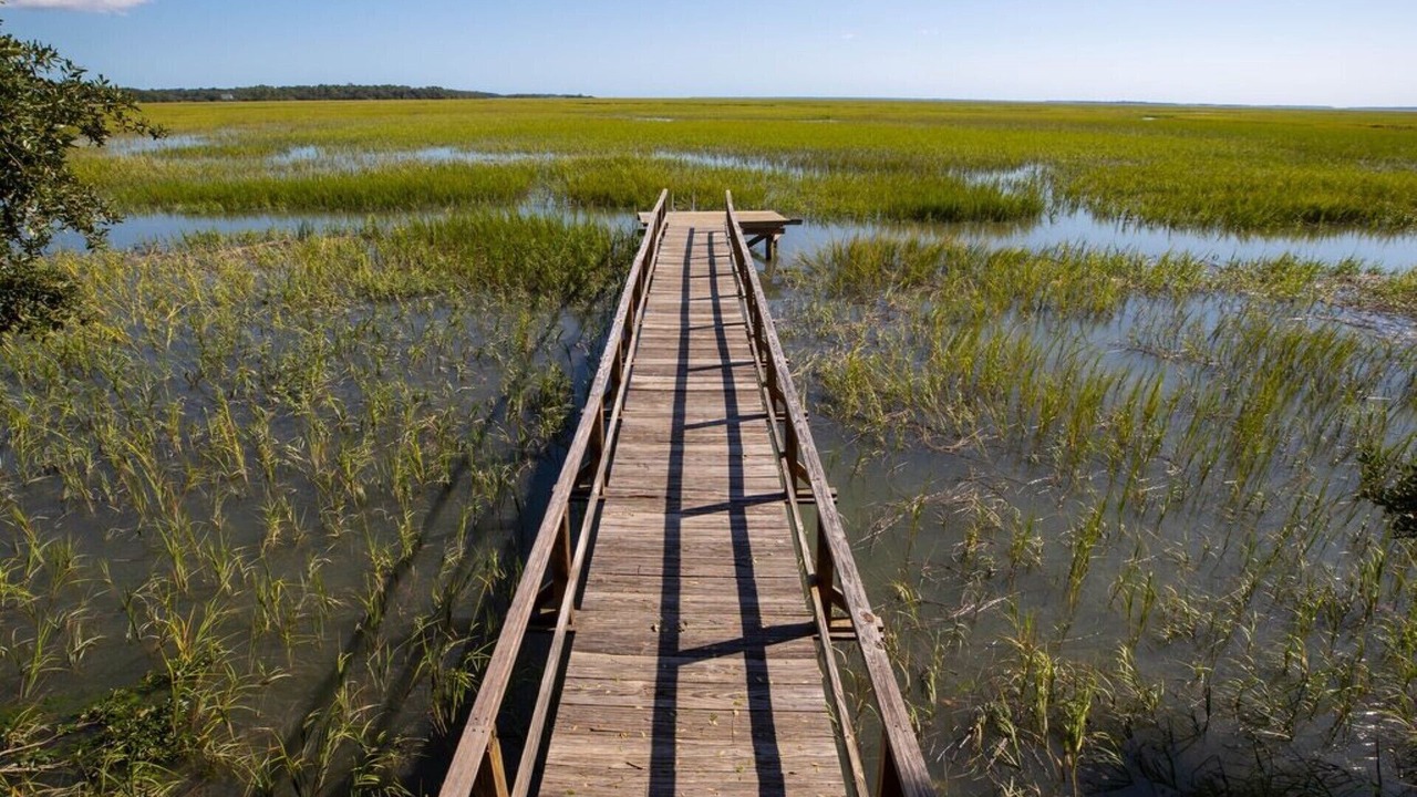 Photo of Others in Shell Point