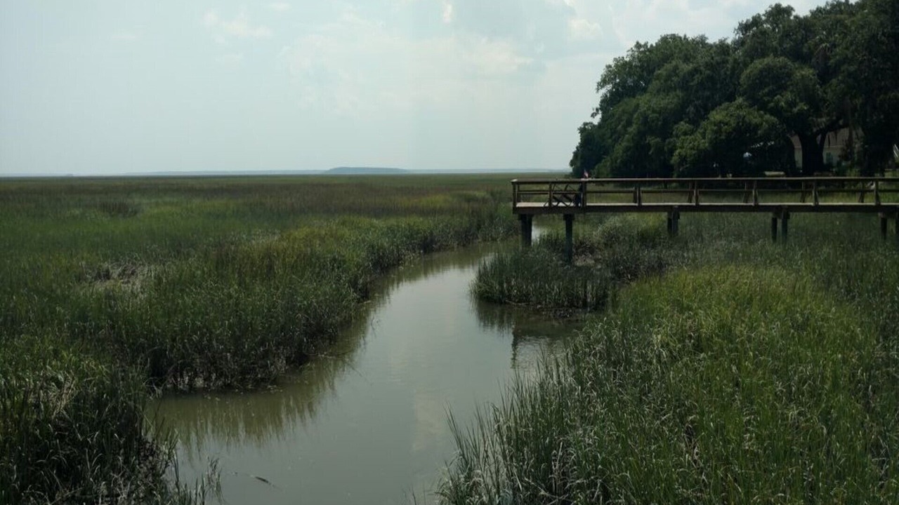 Photo of Outdoor in Shell Point