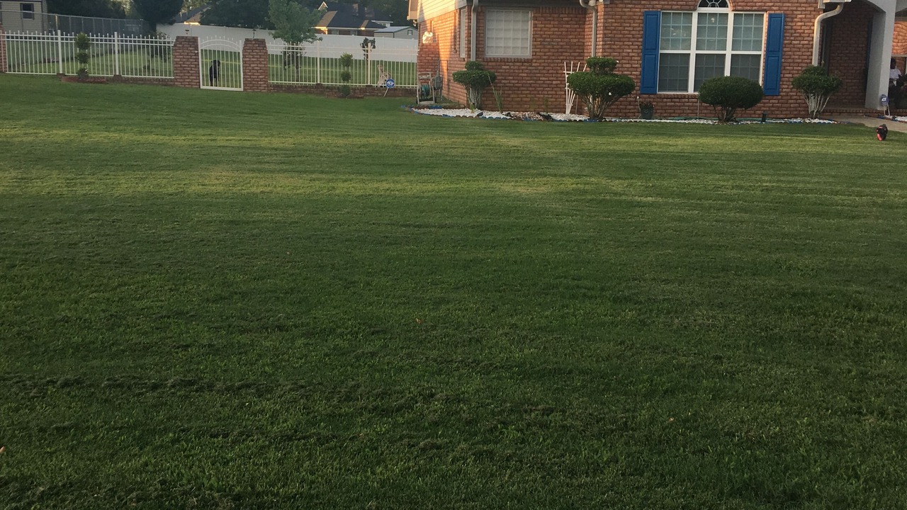 Photo of Outdoor in Peach Orchard