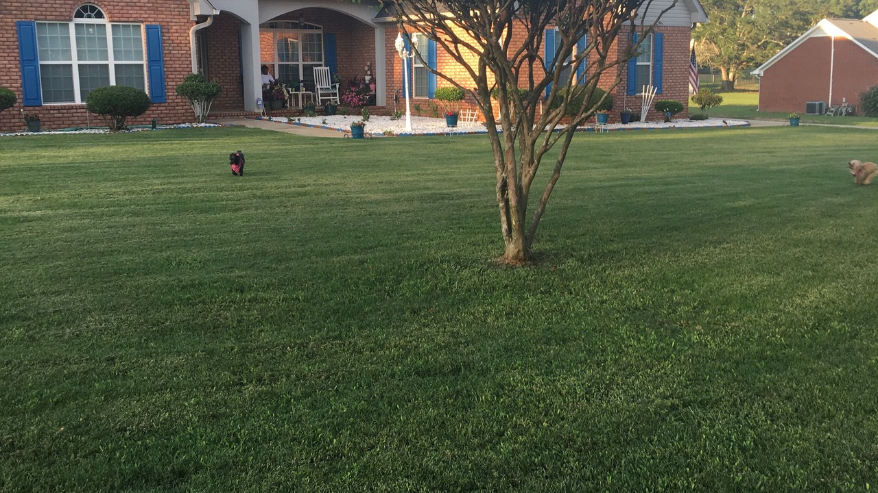 Photo of Outdoor in Peach Orchard