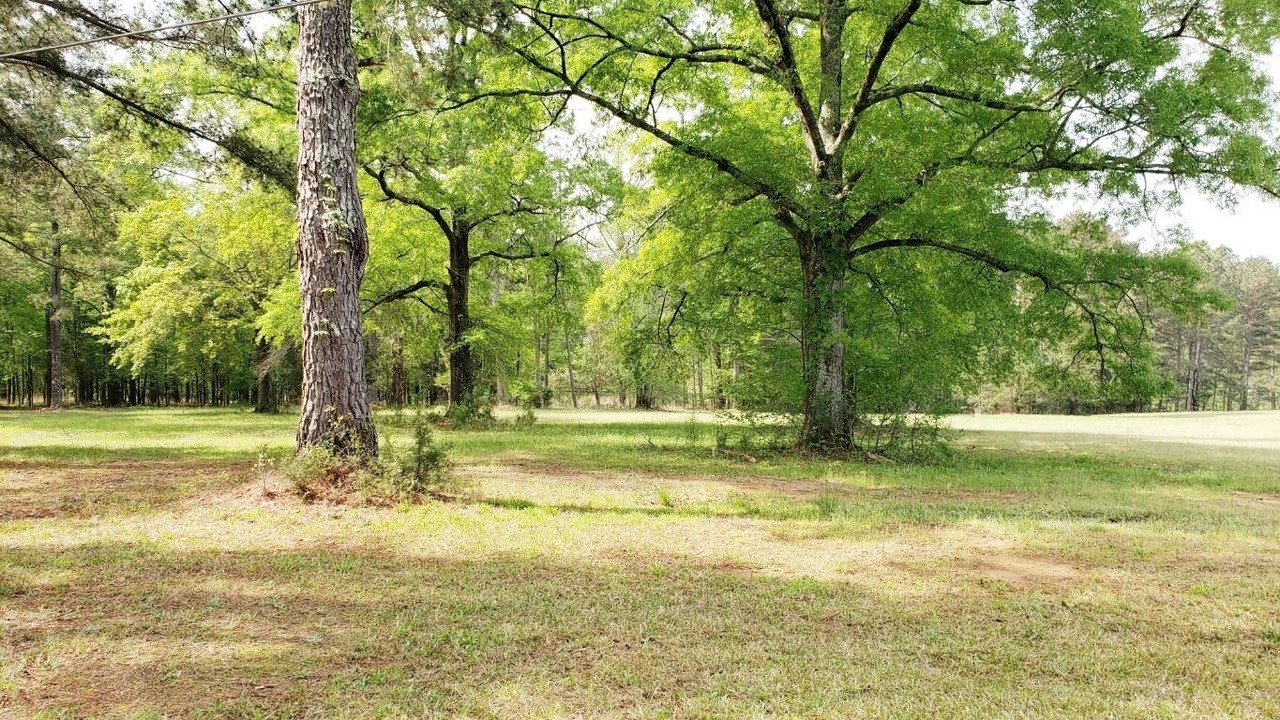 Photo of Others in Grovetown