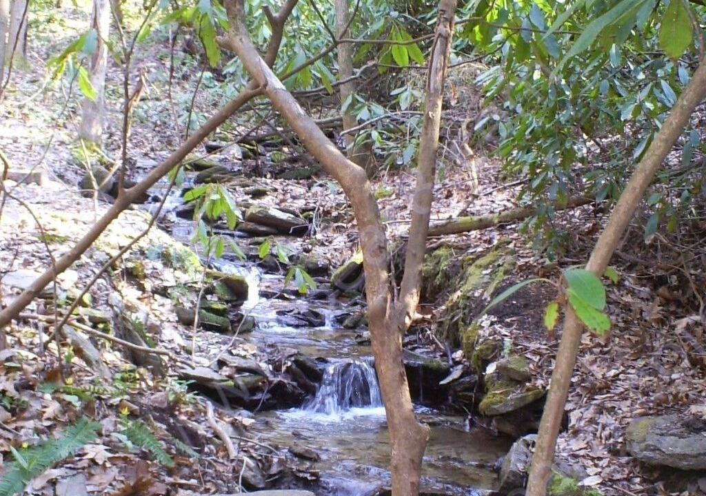 Photo of Outdoor in Penrose