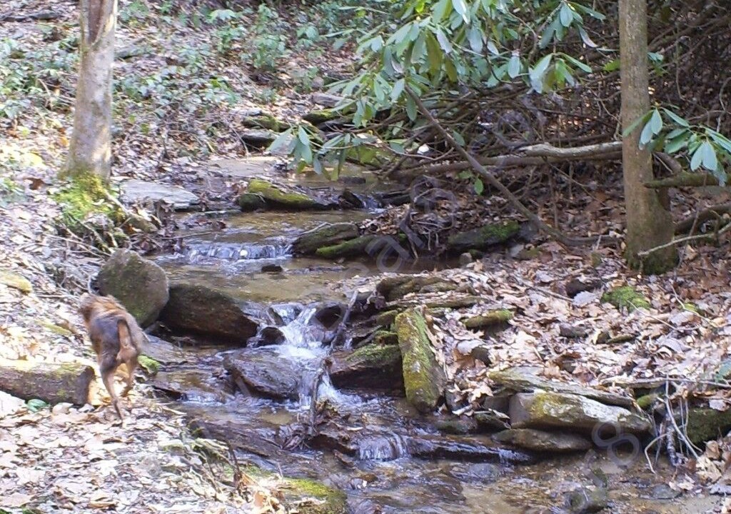 Photo of Outdoor in Penrose