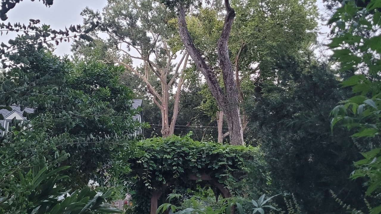 Photo of Outdoor in West Ashley
