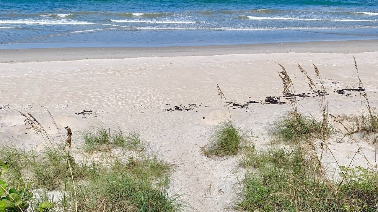 Photo of Others in New Melbourne Beach