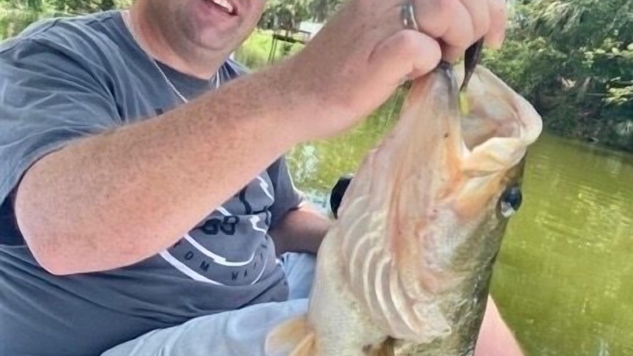 Photo of Others in Port Charlotte