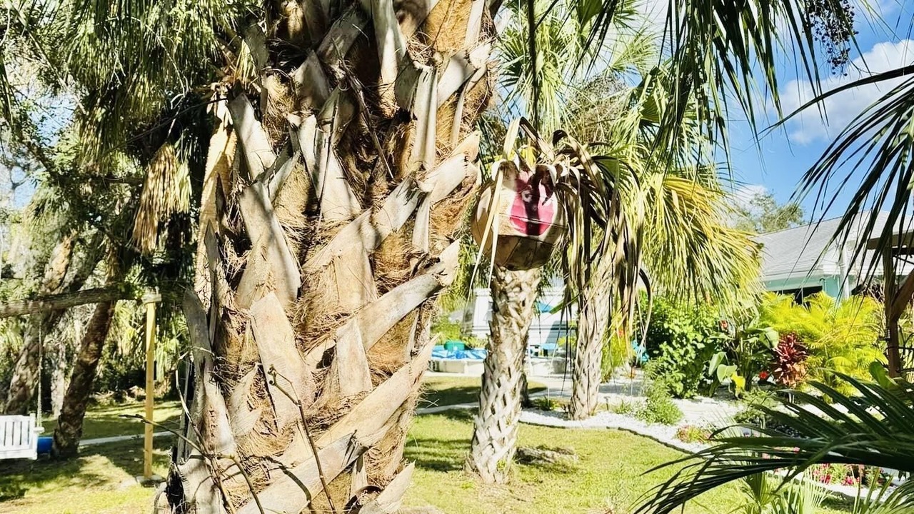 Photo of Outdoor in Port Charlotte