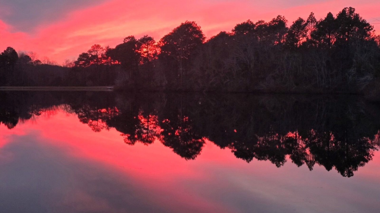 Photo of Others in Aiken