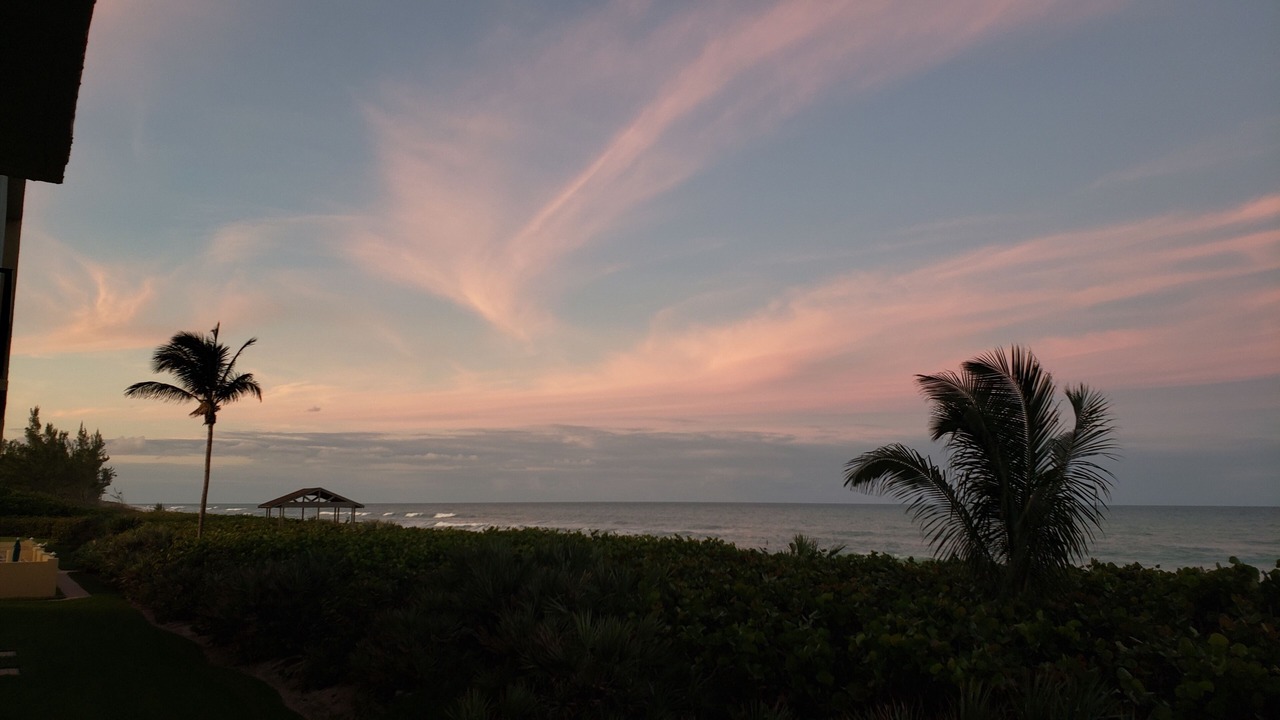 Photo of Others in Hutchinson Island South