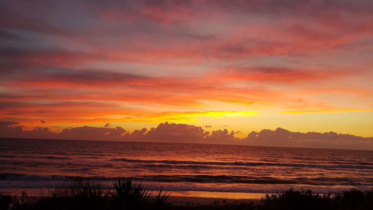 Photo of Others in Melbourne Beach