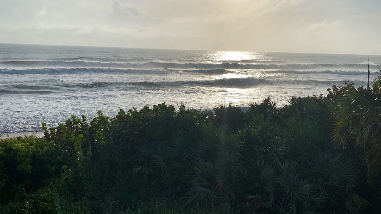Photo of Others in Melbourne Beach