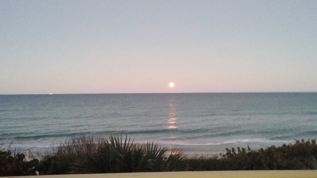 Photo of Outdoor in Melbourne Beach