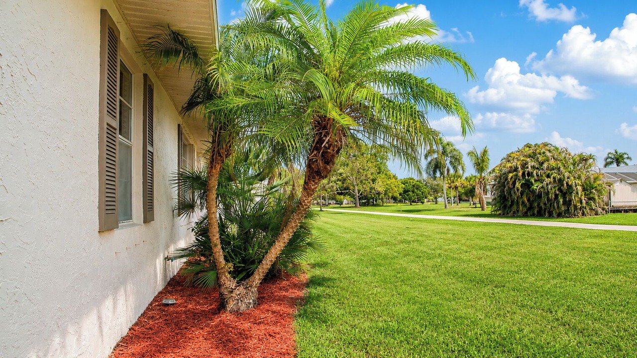 Photo of Outdoor in Port Saint Lucie