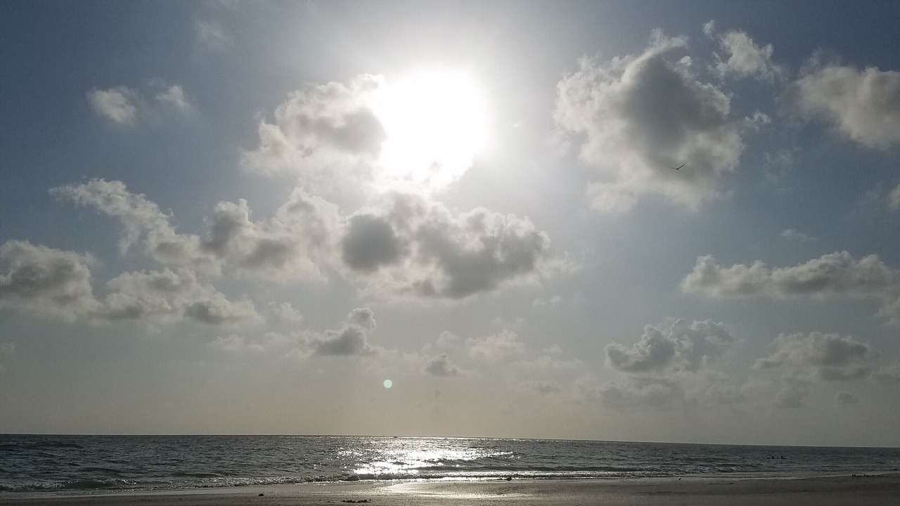 Photo of Others in Siesta Key Village