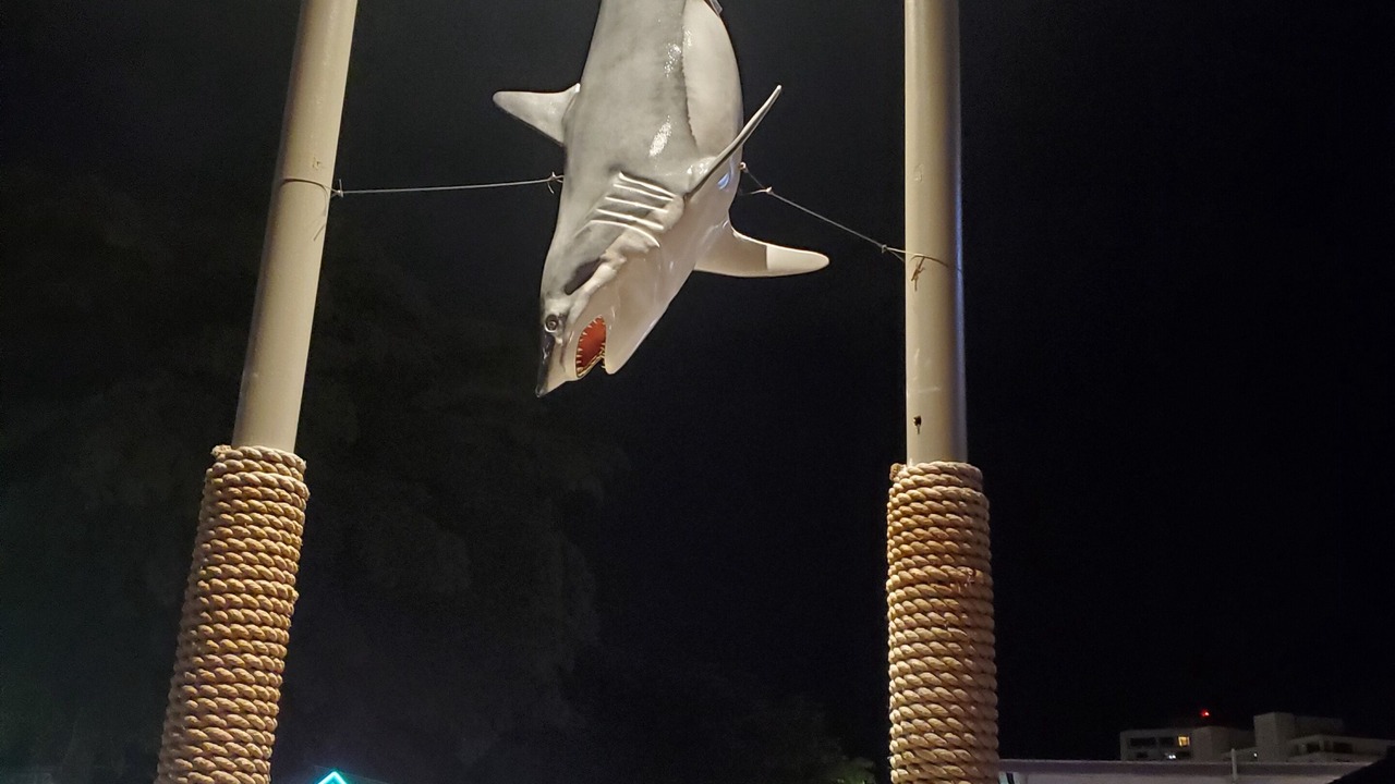 Photo of Others in Siesta Key Village