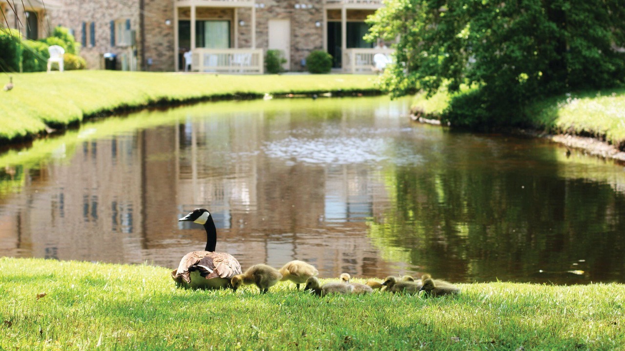 Photo of Outdoor in Socastee