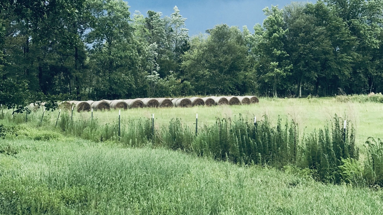 Photo of Outdoor in Bristol