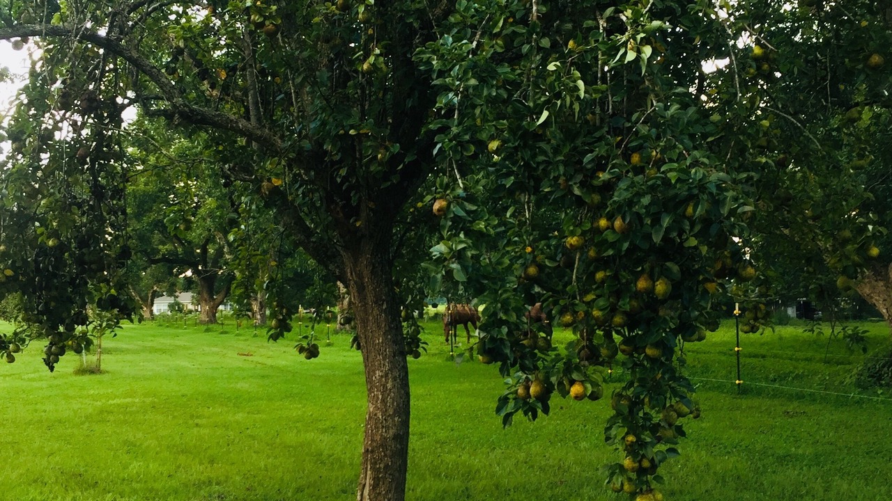 Photo of Outdoor in Bristol