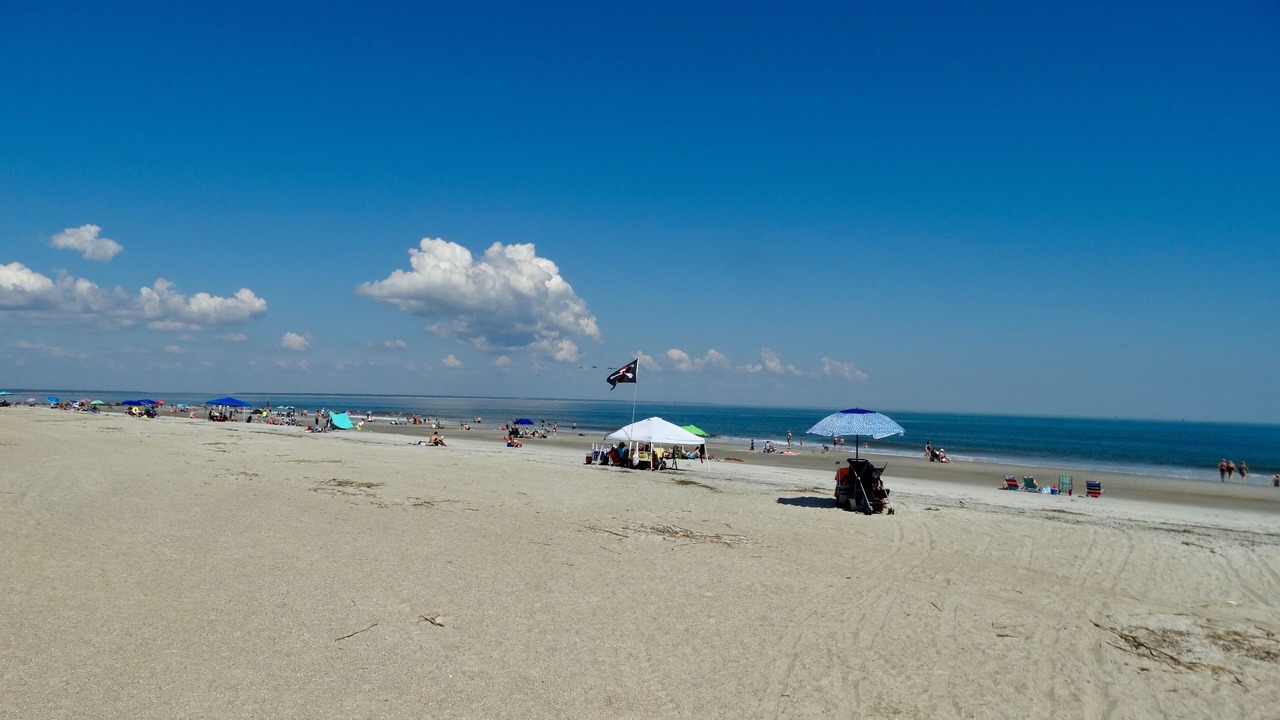Photo of Others in Tybee Island