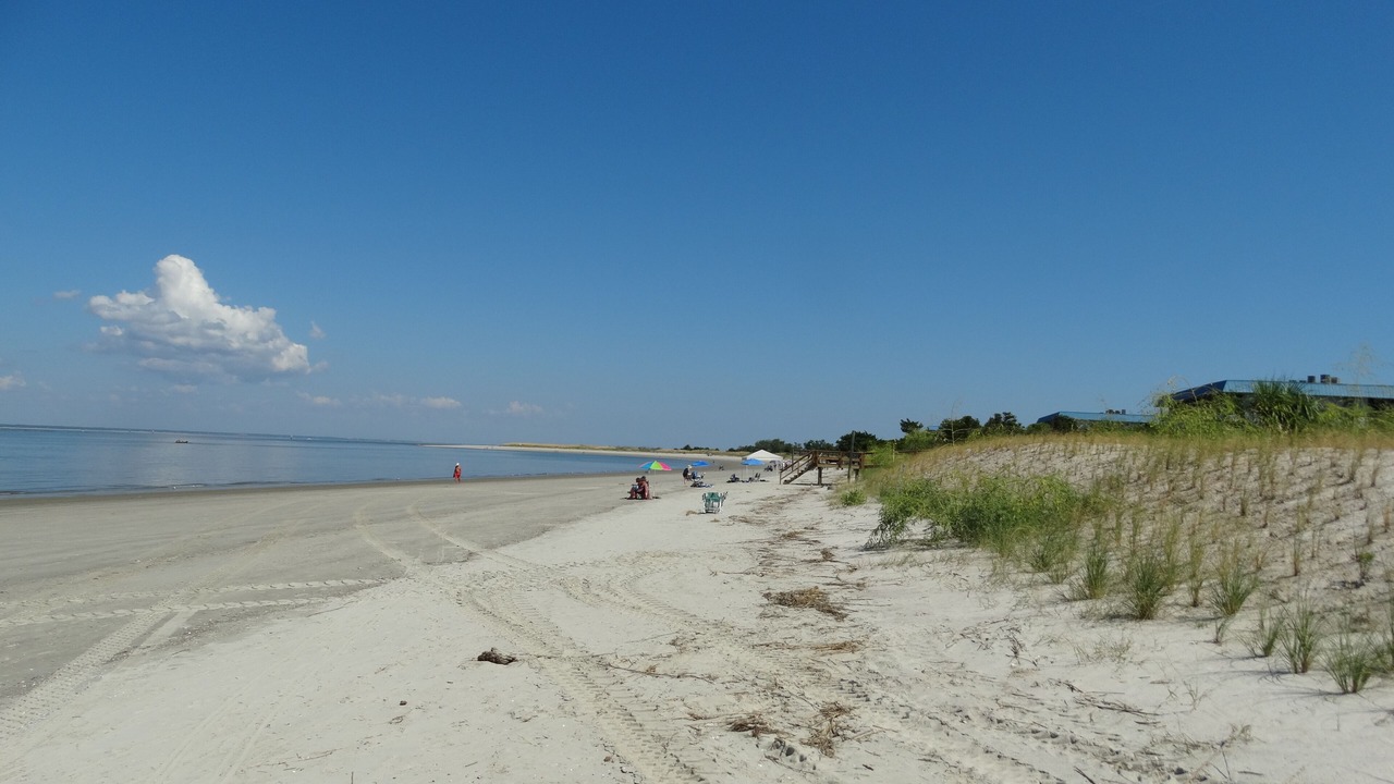 Photo of Others in Tybee Island
