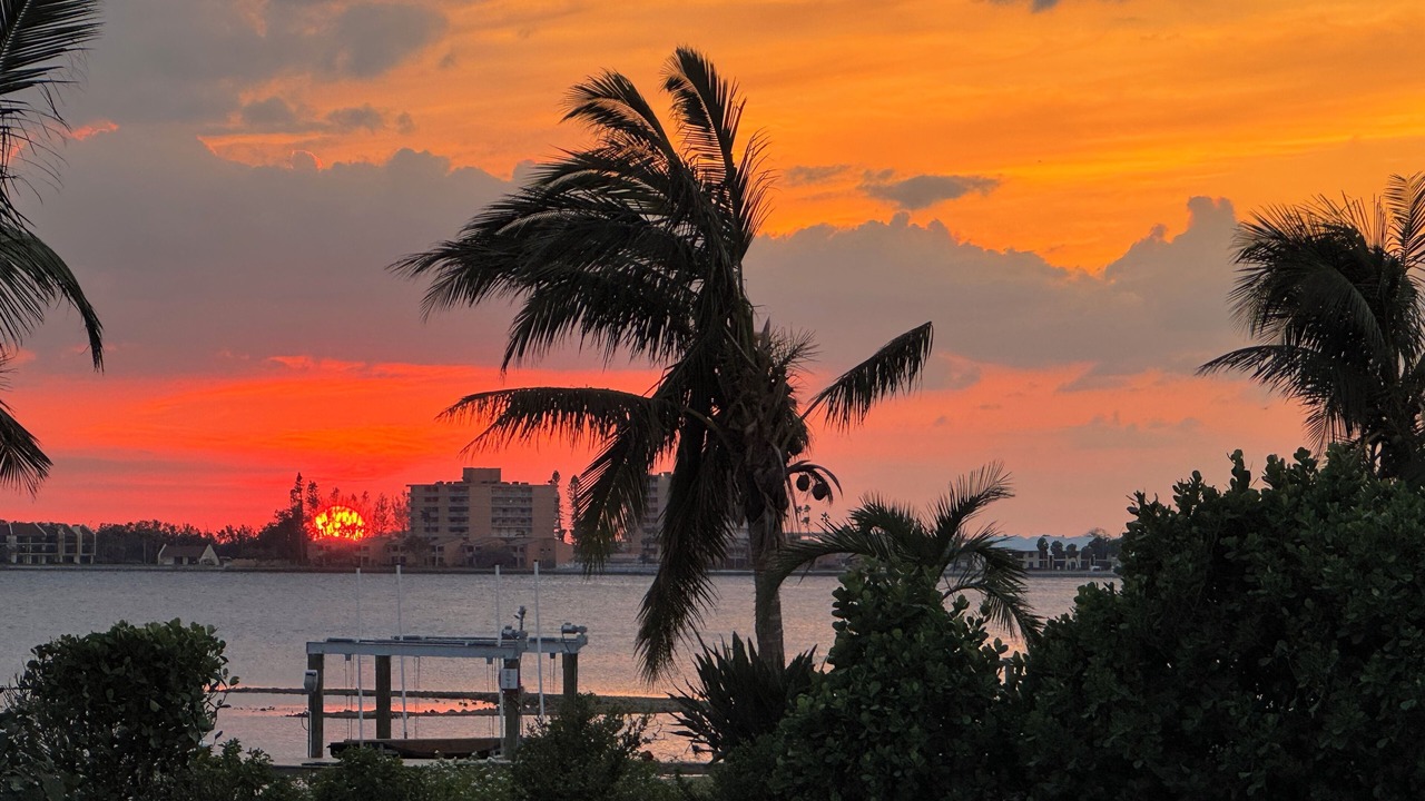 Photo of Others in Pinellas Point