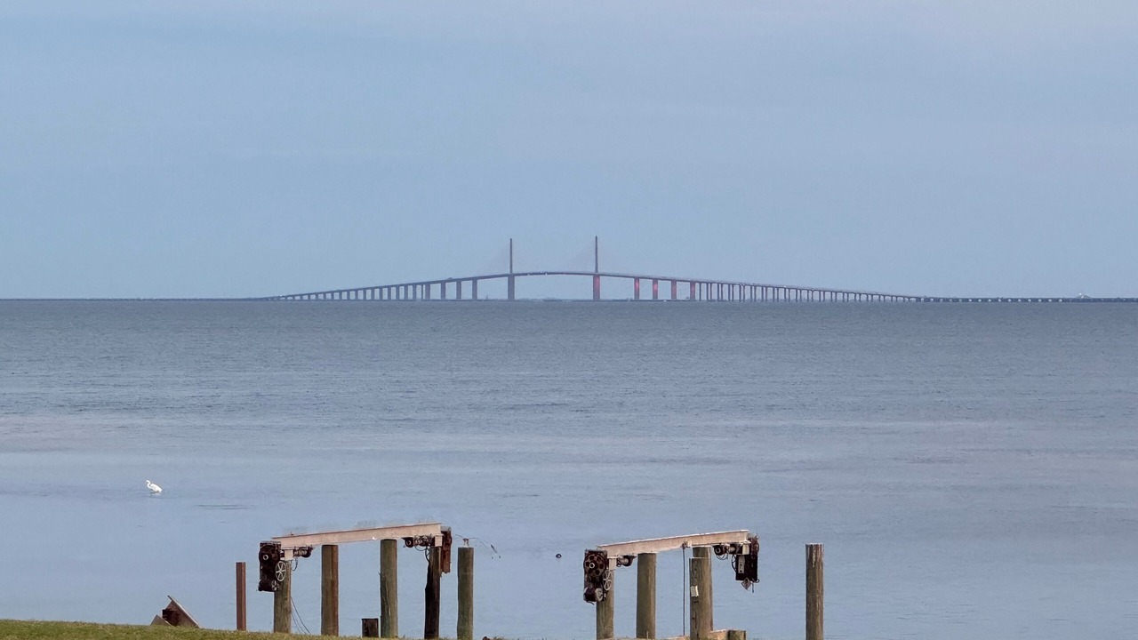 Photo of Others in Pinellas Point