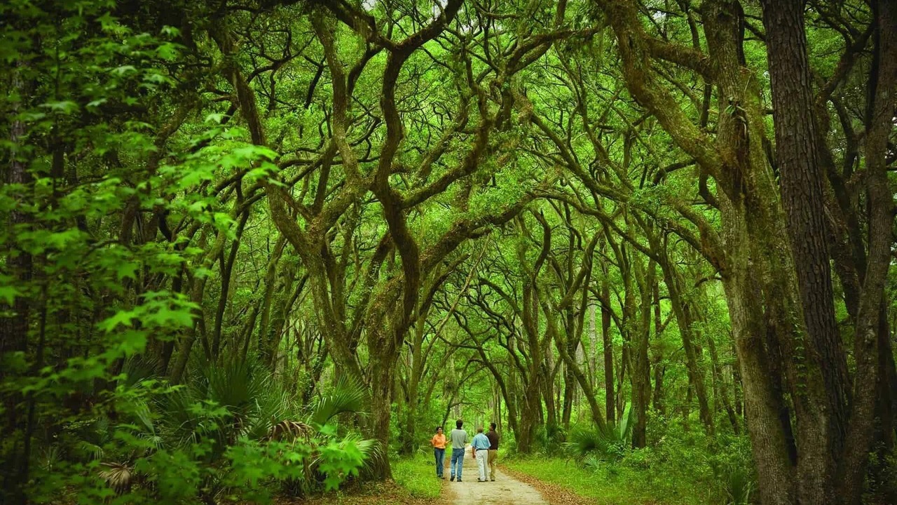 Photo of Others in Palmetto Bluff