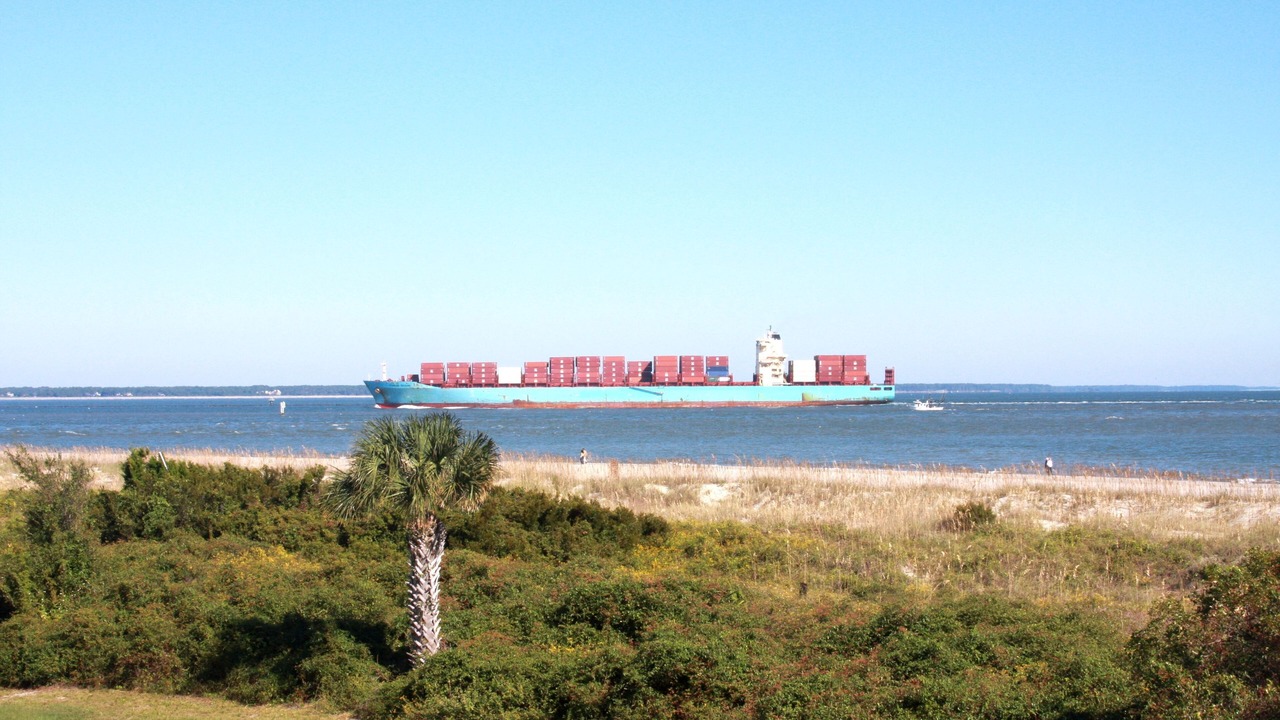 Photo of Others in Tybee Island