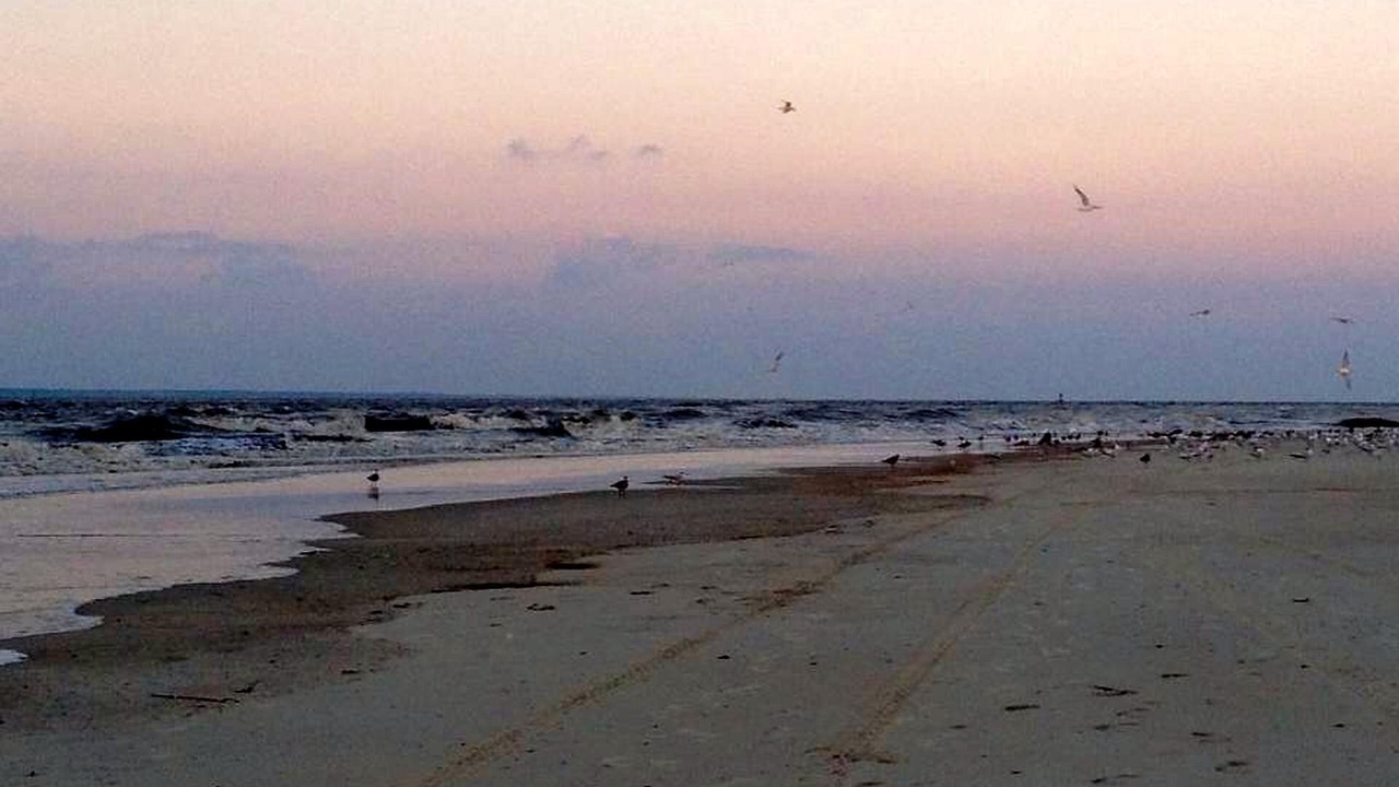 Photo of Others in Tybee Island