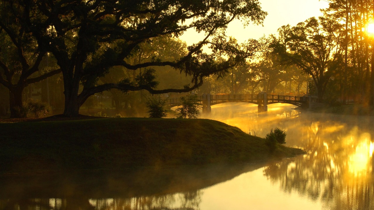 Photo of Others in Palmetto Bluff