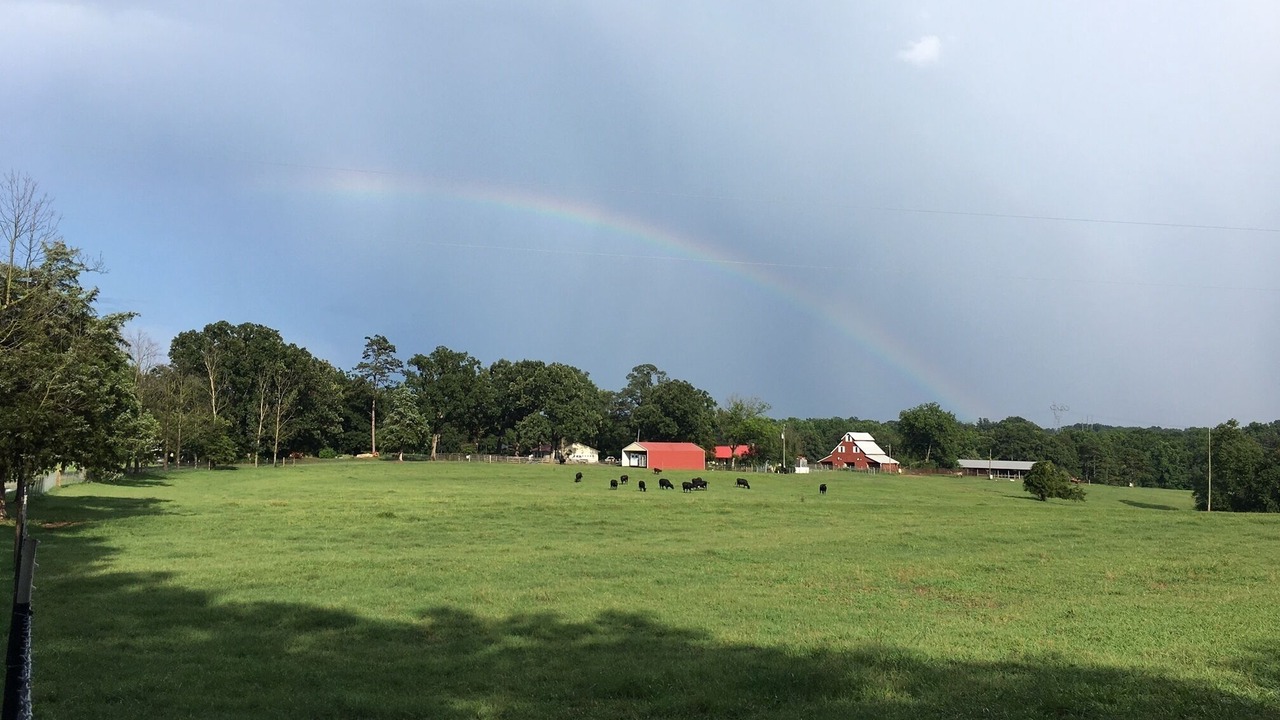Photo of Others in Baldwin