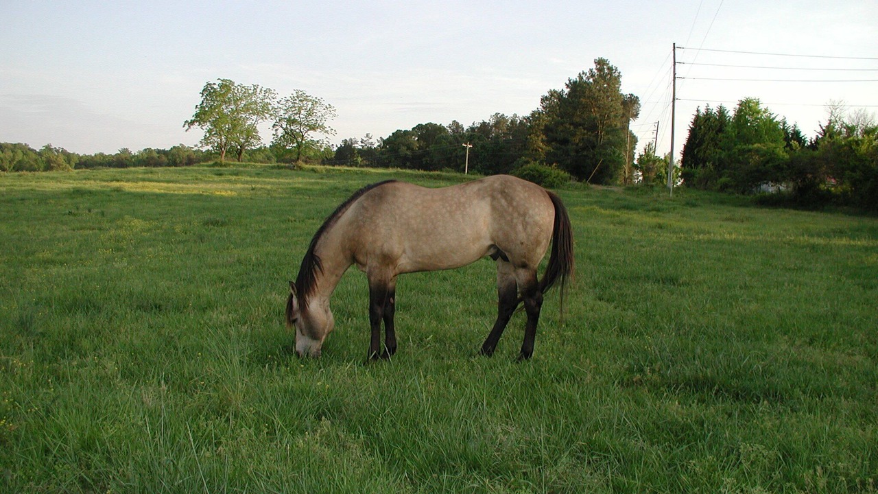 Photo of Others in Baldwin