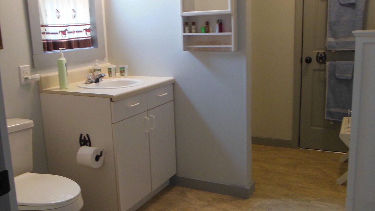 Photo of Bathroom in Baldwin