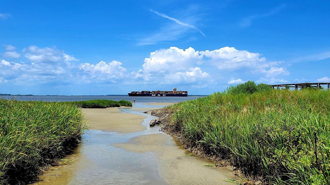 Photo of Others in Tybee Island