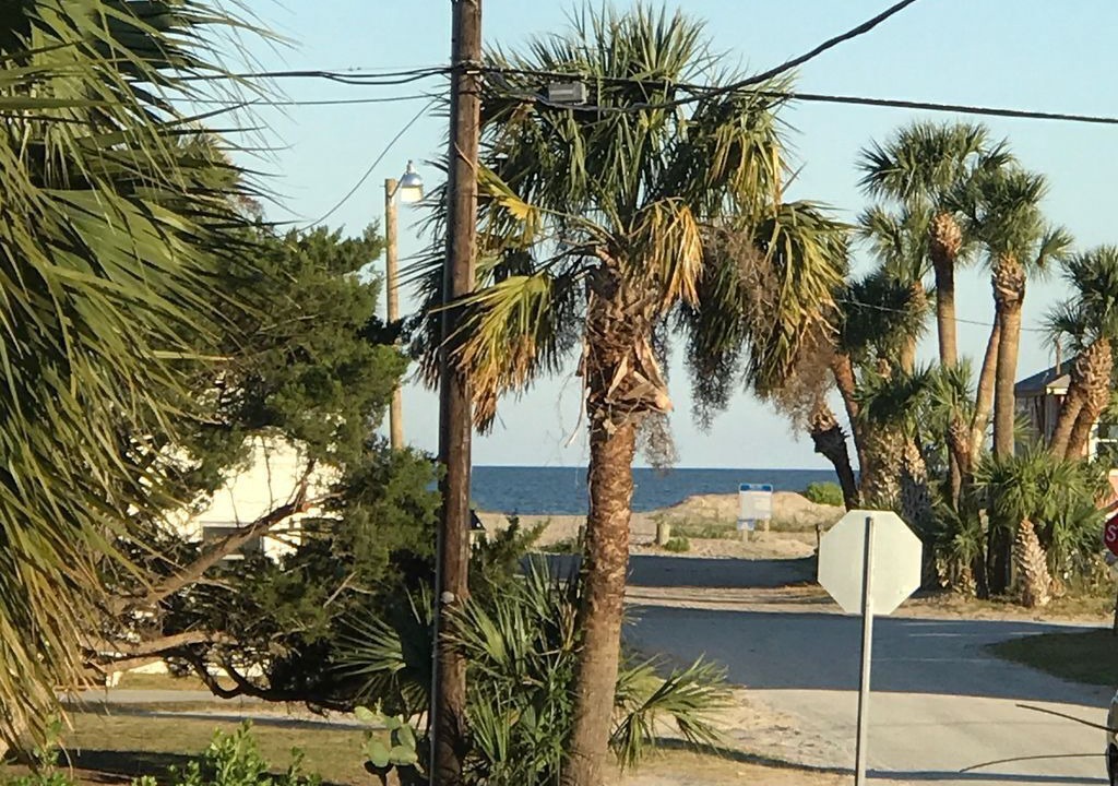 Photo of Others in Edisto Island