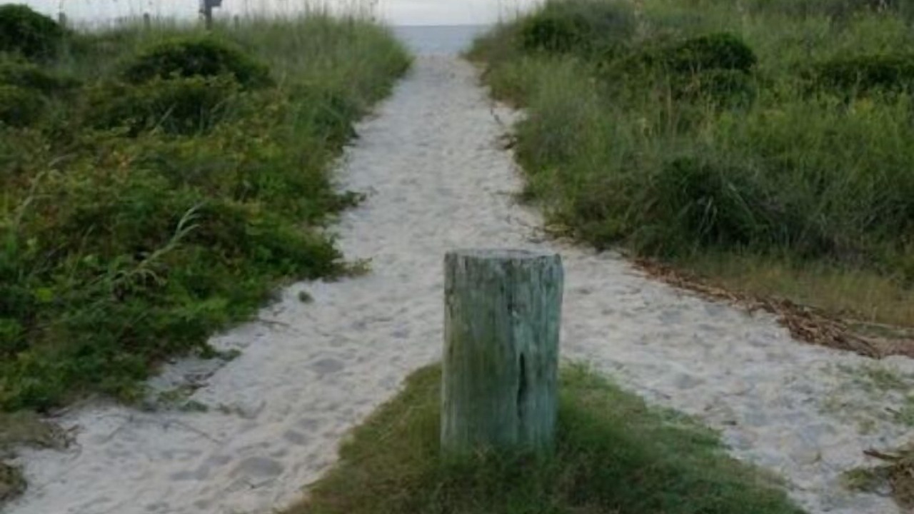 Photo of Others in Edisto Island