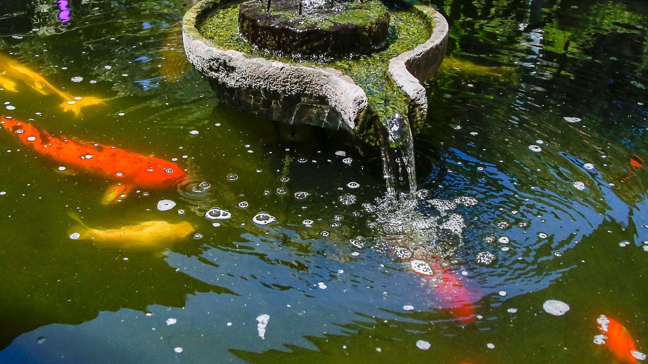 Photo of Outdoor in Johns Island