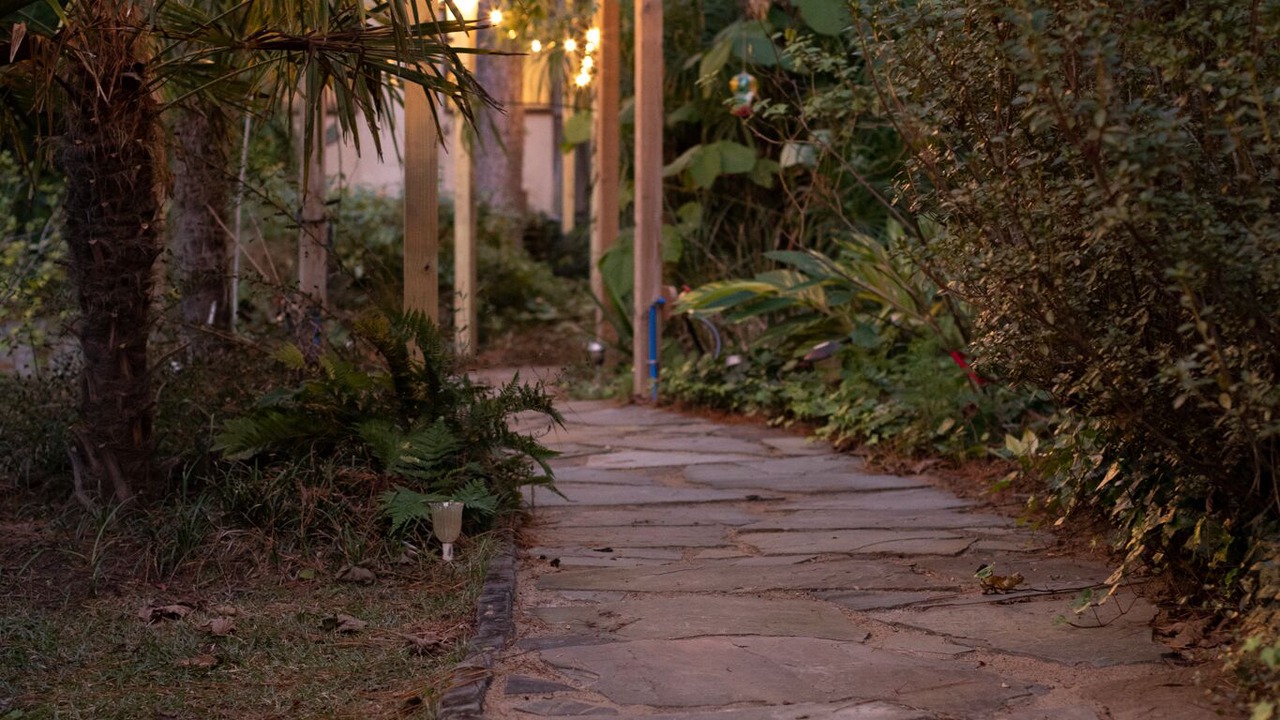 Photo of Outdoor in Johns Island
