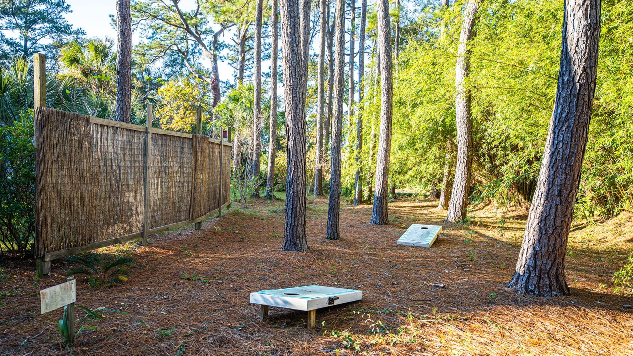 Photo of Outdoor in Johns Island