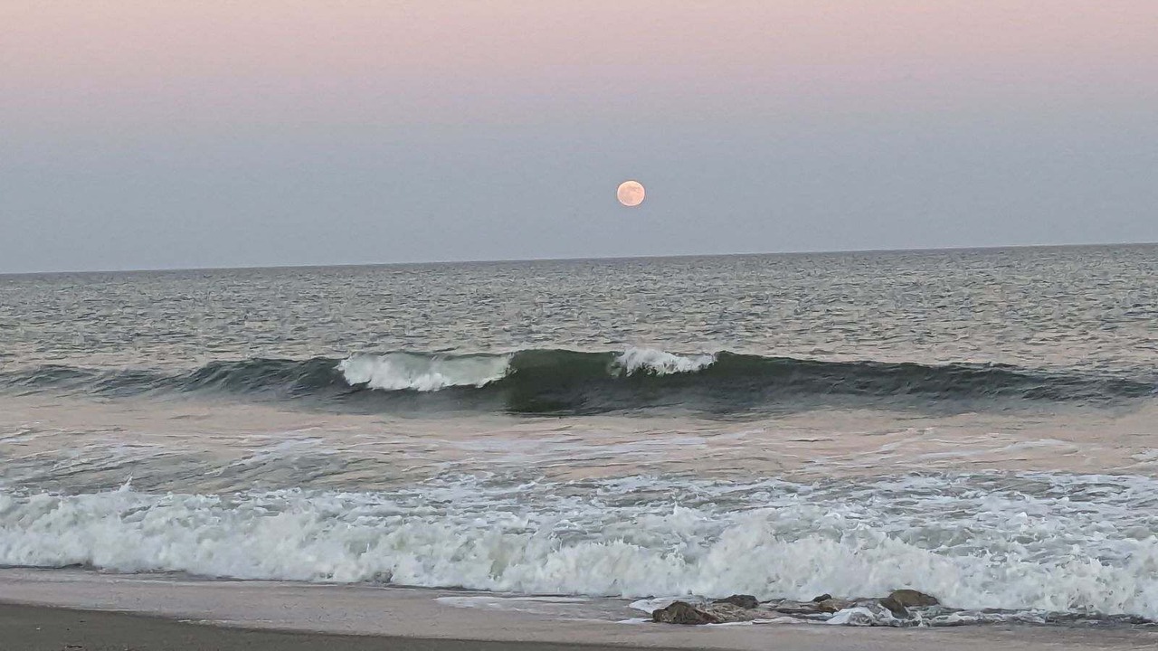 Photo of Others in Surfside Beach