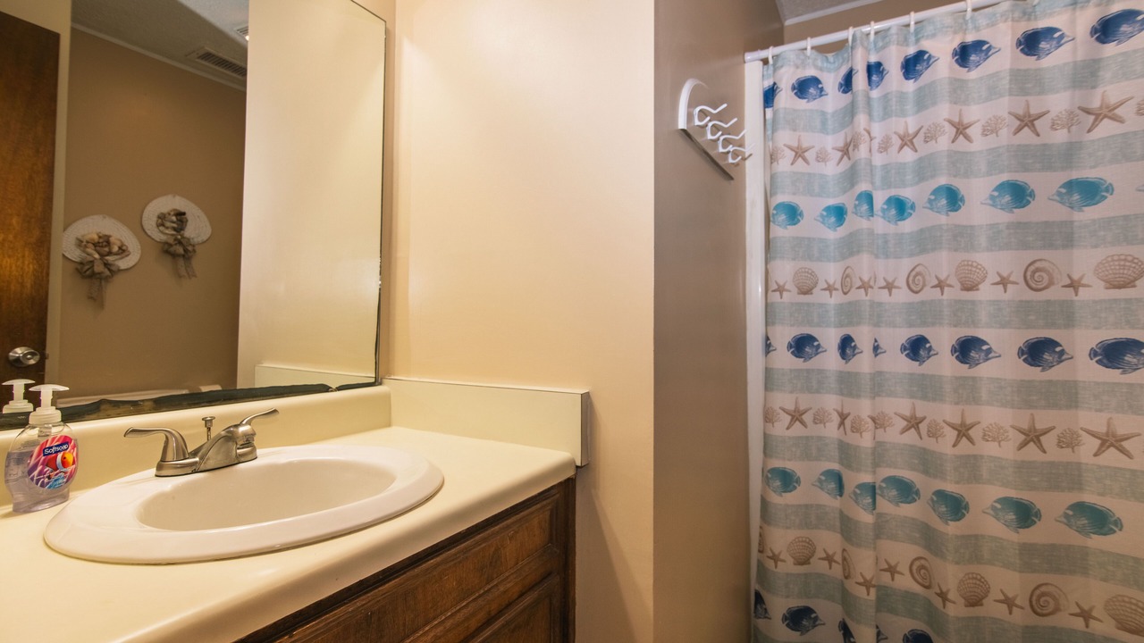 Photo of Bathroom in Edisto Island