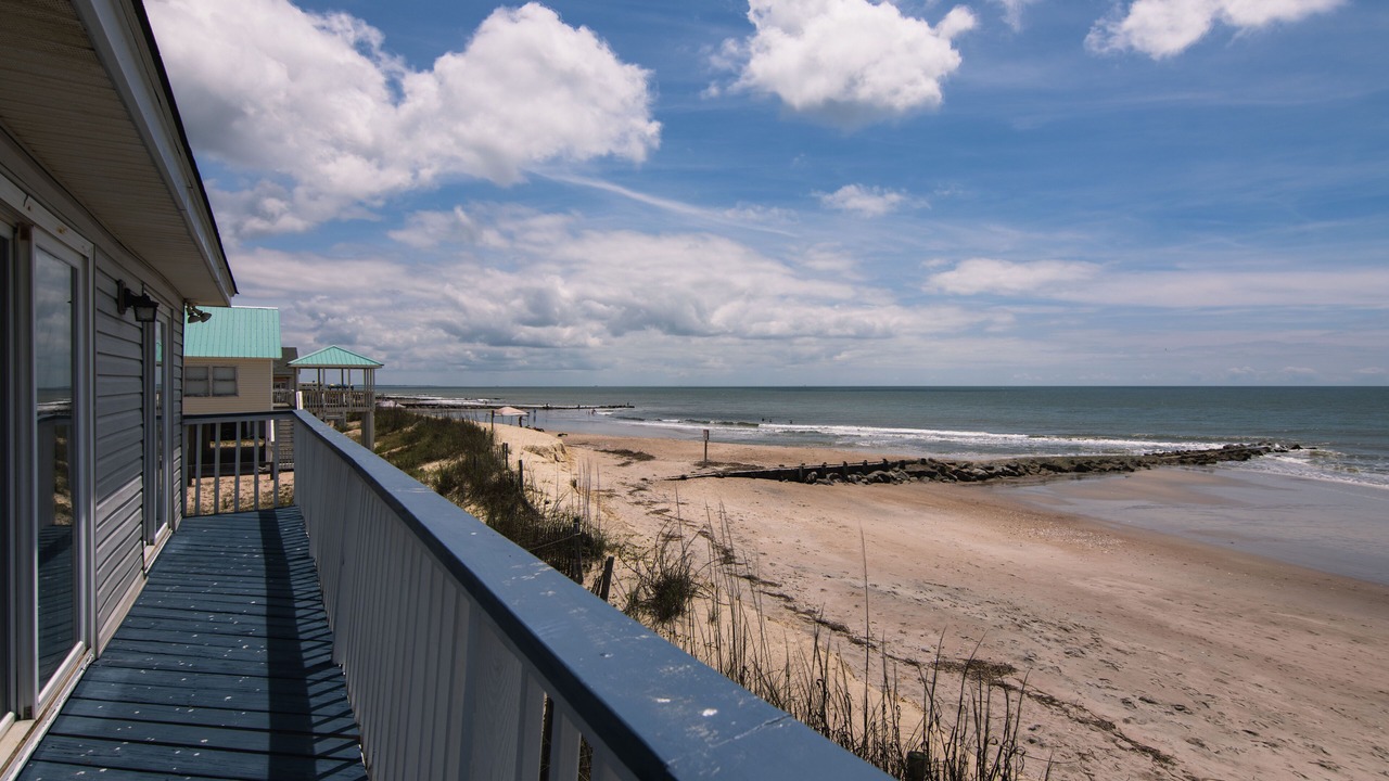 Photo of Outdoor in Edisto Island