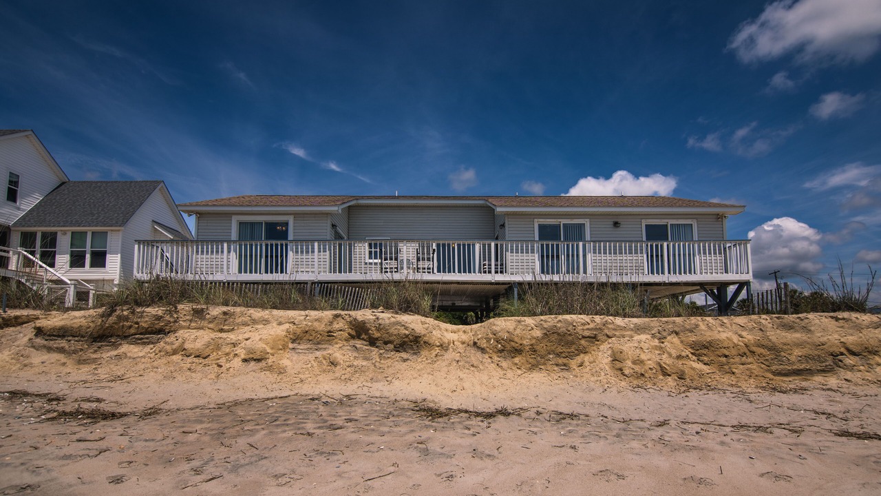 Photo of Outdoor in Edisto Island