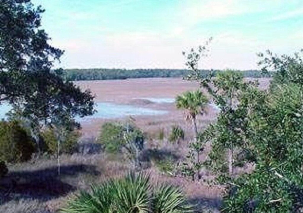 Photo of Outdoor in Edisto Island