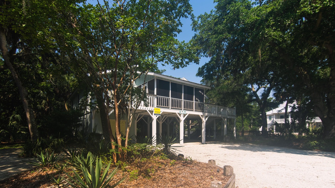 Photo of Outdoor in Edisto Island