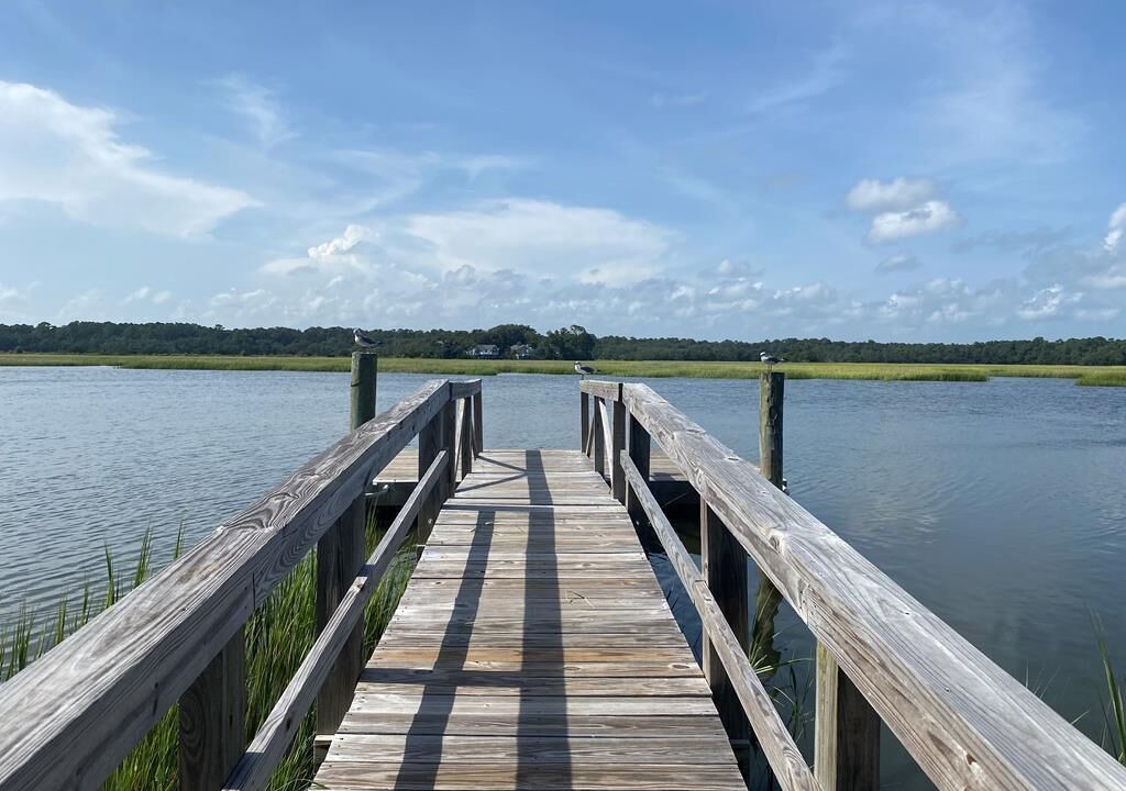 Photo of Outdoor in Edisto Island