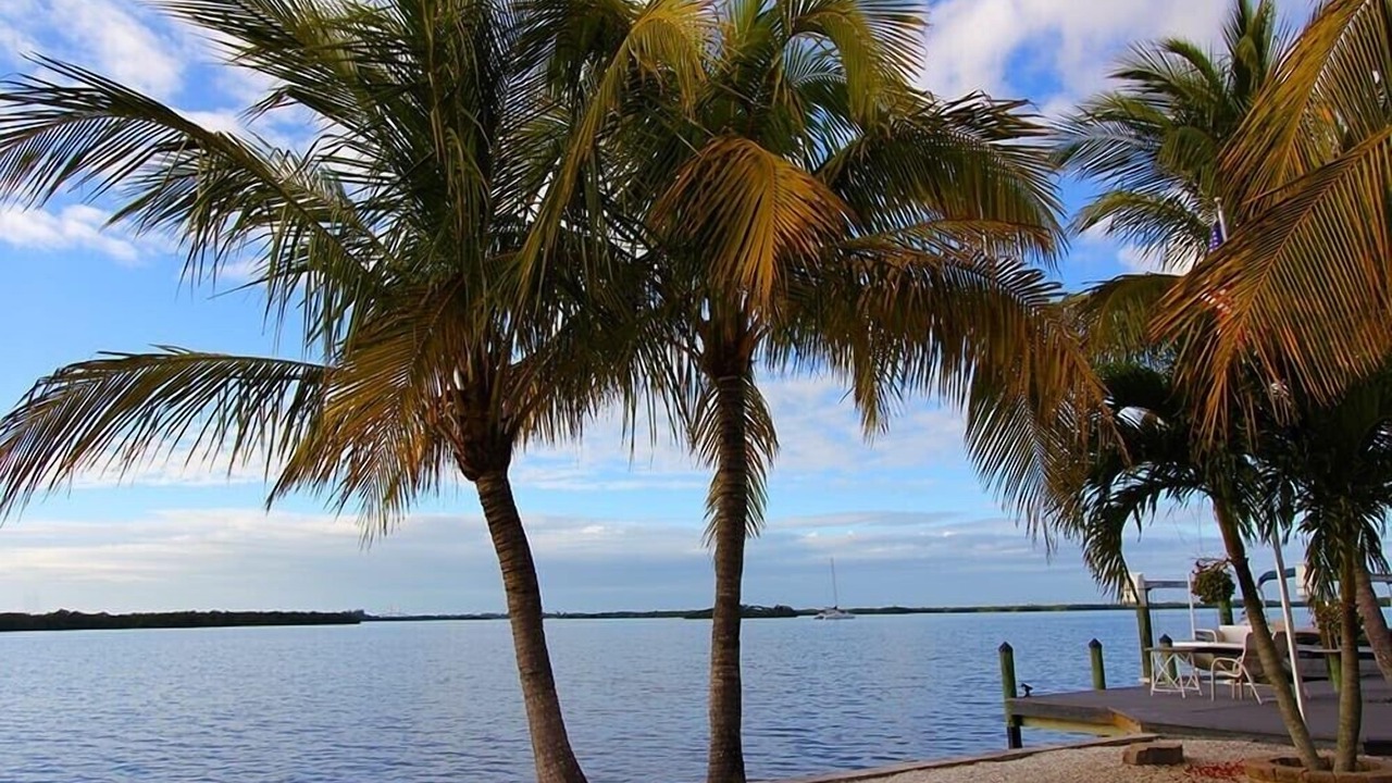 Photo of Others in Palmetto