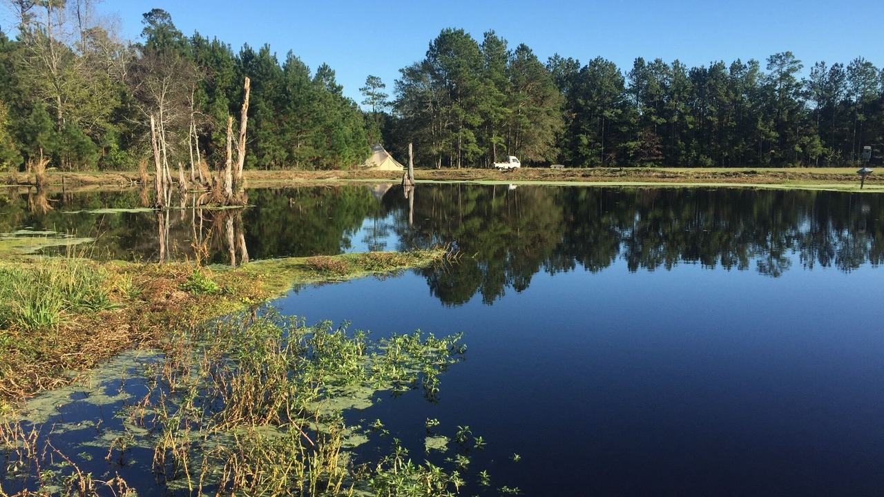 Photo of Others in Dorchester County